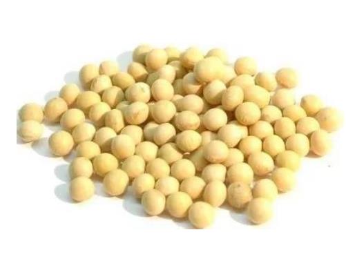 大豆進口指南 大豆進口指南