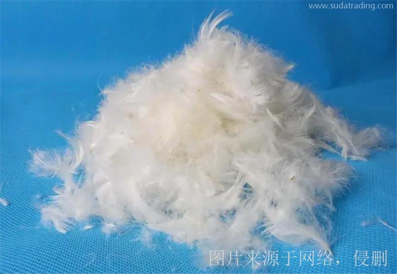 廣西貴港鴨毛進(jìn)口報(bào)關(guān)的注意事項(xiàng)有這5點(diǎn) 廣西貴港鴨毛進(jìn)口報(bào)關(guān)的注意事項(xiàng)有這5點(diǎn)