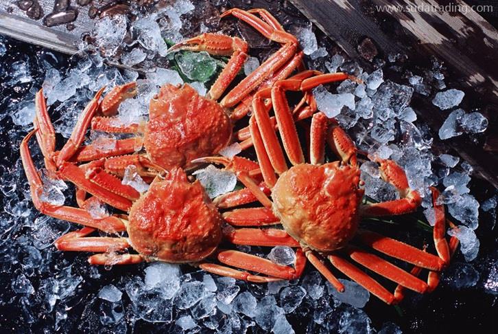 廣州機場進口斯里蘭卡螃蟹報關費用水產品通關費 廣州機場進口斯里蘭卡螃蟹報關費用水產品通關費