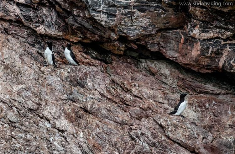 銻礦石進口報關公司哪家專業靠譜 哪家比較好?