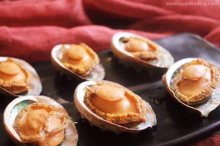 廣州進口南非鮑魚清關費用-19年水產品進口報關行 廣州進口南非鮑魚清關費用-19年水產品進口報關行