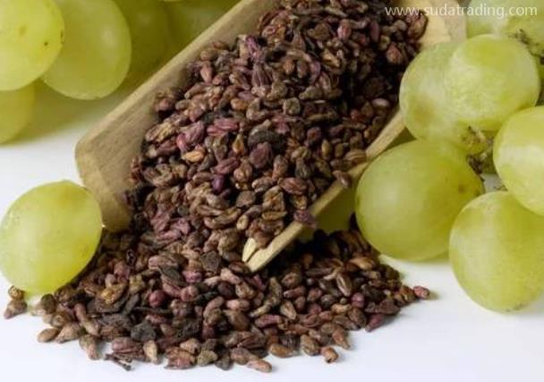 葡萄籽稅號及申報要素有哪些？