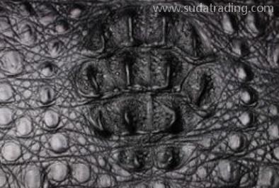 鱷魚皮進口報關清關知識詳解