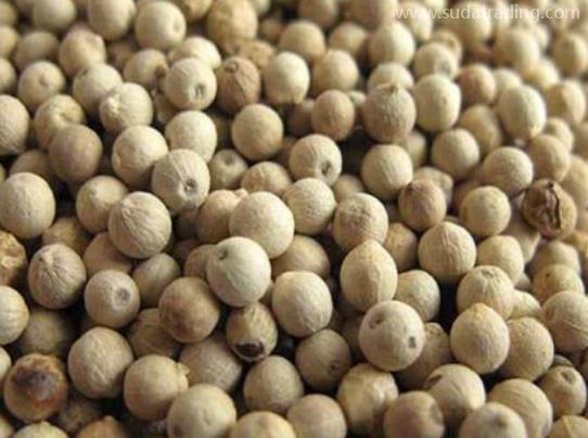 胡椒進(jìn)口報(bào)關(guān)清關(guān)操作流程單證資料 胡椒進(jìn)口報(bào)關(guān)清關(guān)操作流程單證資料