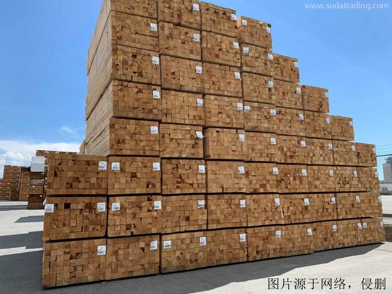 白俄羅斯進口報關公司哪家好？白俄羅斯木材清關流程