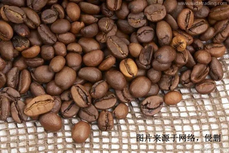 印尼進口報關行哪家好？印度尼西亞可可豆清關資料