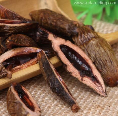 干檳榔進口到底算不算違規操作? 干檳榔進口到底算不算違規操作?