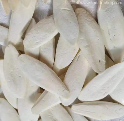 墨魚骨如何進口清關? 墨魚骨如何進口清關?