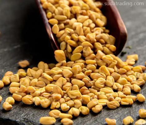 印度葫蘆巴子如何進(jìn)口？