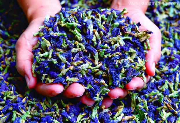 蝶豆花進口清關知識及相關流程要素