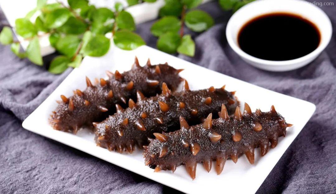 【進口指南】食品海參進口流程（內附詳請）