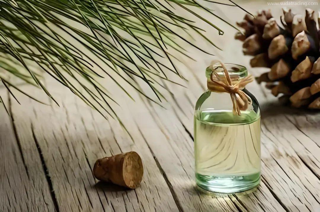 【進口知識】一文了解松香類產(chǎn)品 【進口知識】一文了解松香類產(chǎn)品