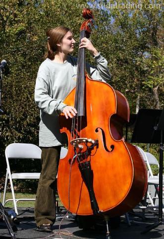 解讀 | 樂器通關的規范申報