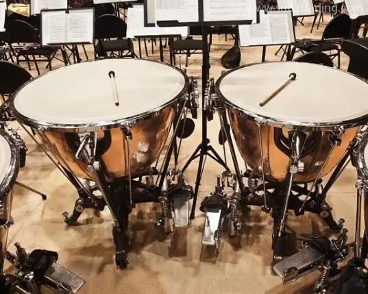 解讀 | 樂器通關的規范申報