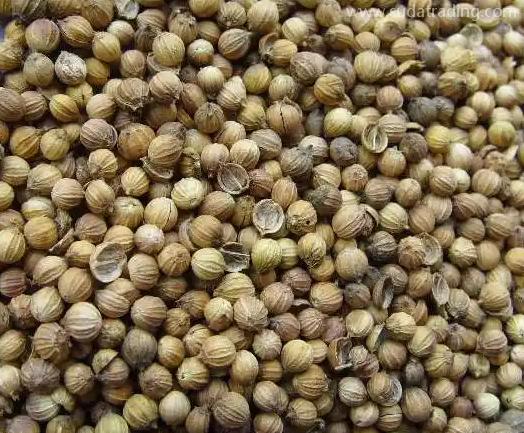 香菜籽的進口清關(guān)流程及所需資料