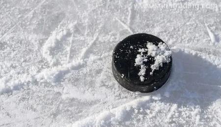 【進(jìn)口知識】冰雪運(yùn)動器械的歸類“密碼”